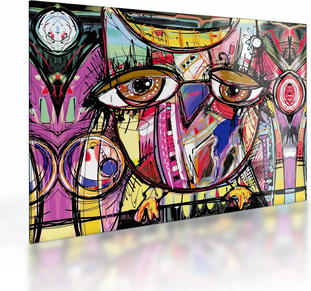 Tablou pe sticlă - Artă stradală - bufniță (70x50 cm)