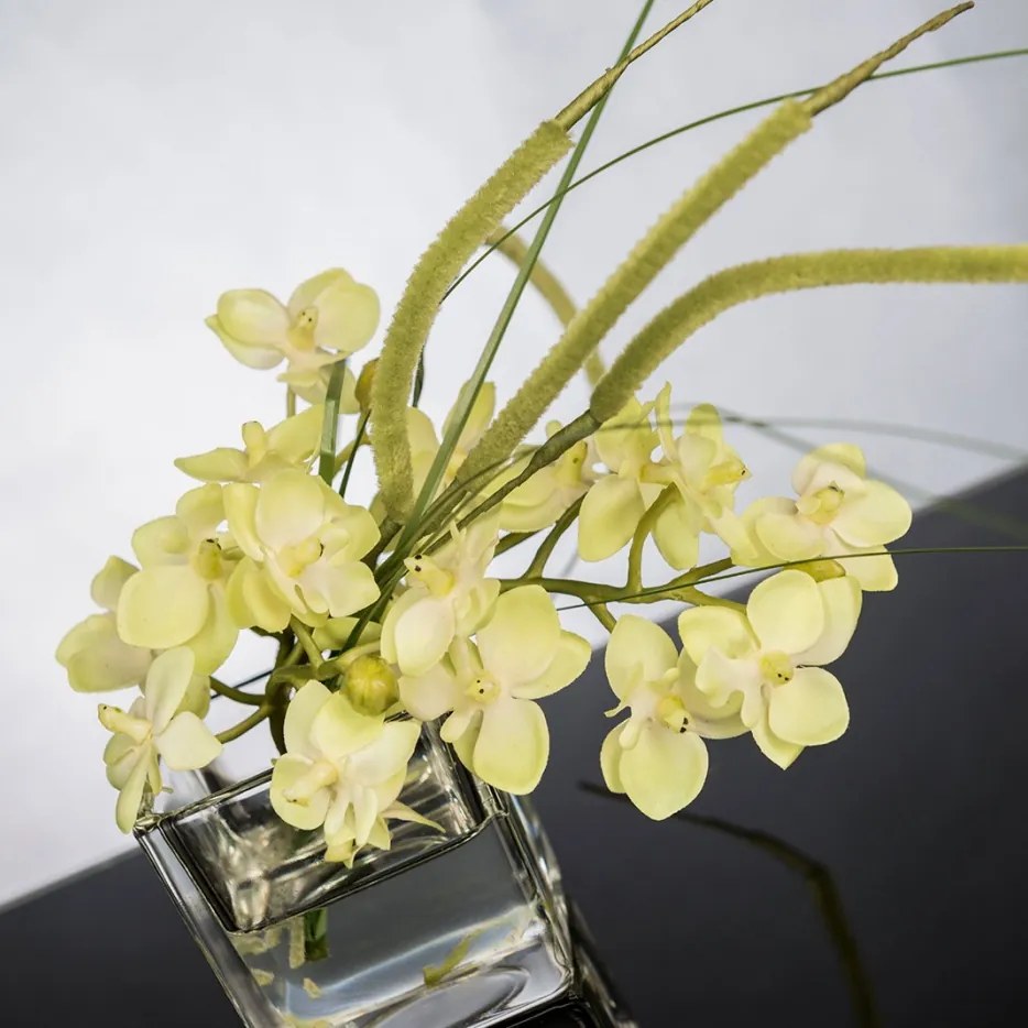 Aranjament floral mic decor festiv design LUX ETERNITY CUBO MINI PHALAENOPSI