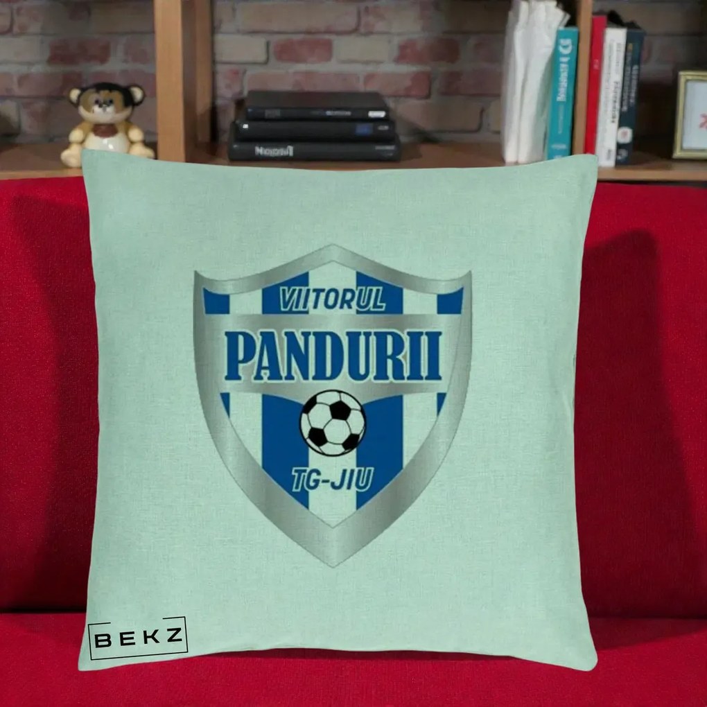 Perna Personalizata Pandurii Targu Jiu Fotbal, 40x40 cm, Verde Menta, Husa Detasabila, Perna Inclusa, BEKZ®