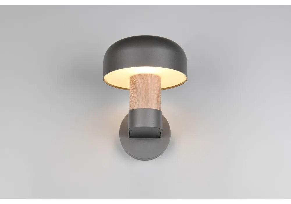 Corp de iluminat pentru exterior, de perete (înălțime 24,5 cm) Fraser – Trio