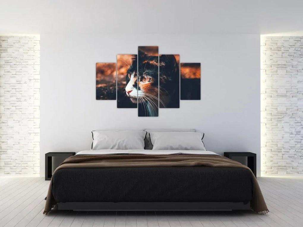Tablou - Privirea pisicii (150x105 cm)