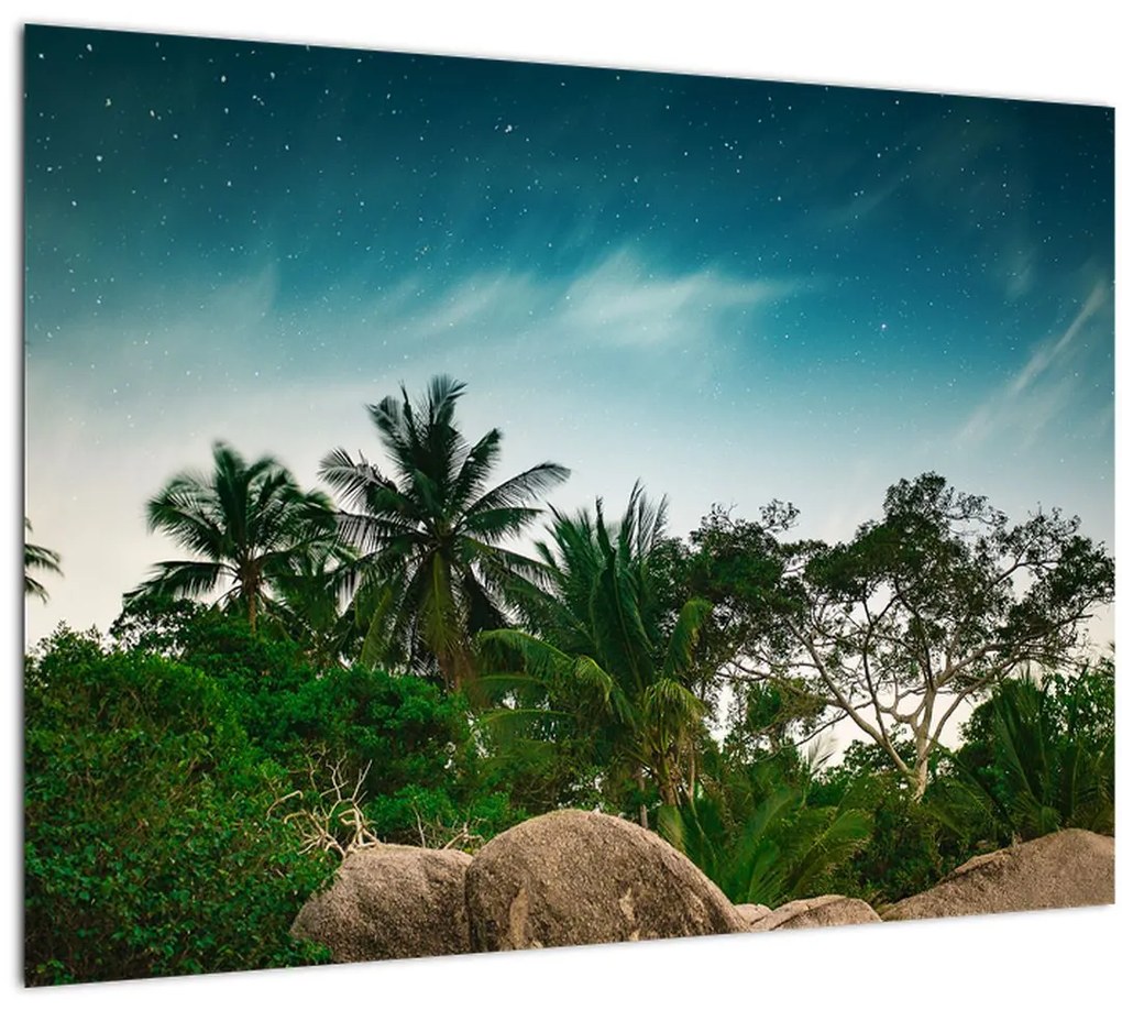 Tablou - palmierii (70x50 cm), în 40 de alte dimensiuni noi