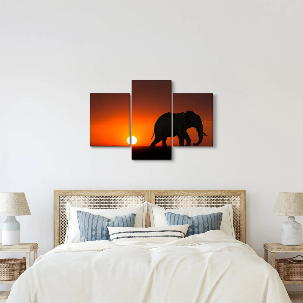 Tablou cu elefant în apus de soare (90x60 cm)