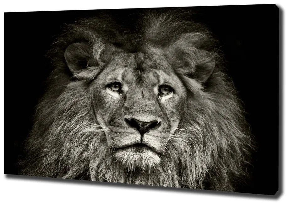 Imprimare tablou canvas Leu