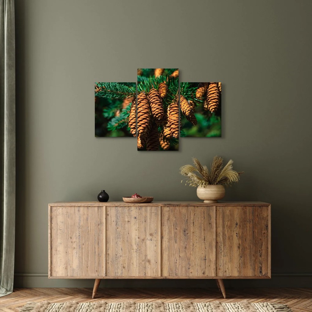 Tablou cu con de brad (90x60 cm)