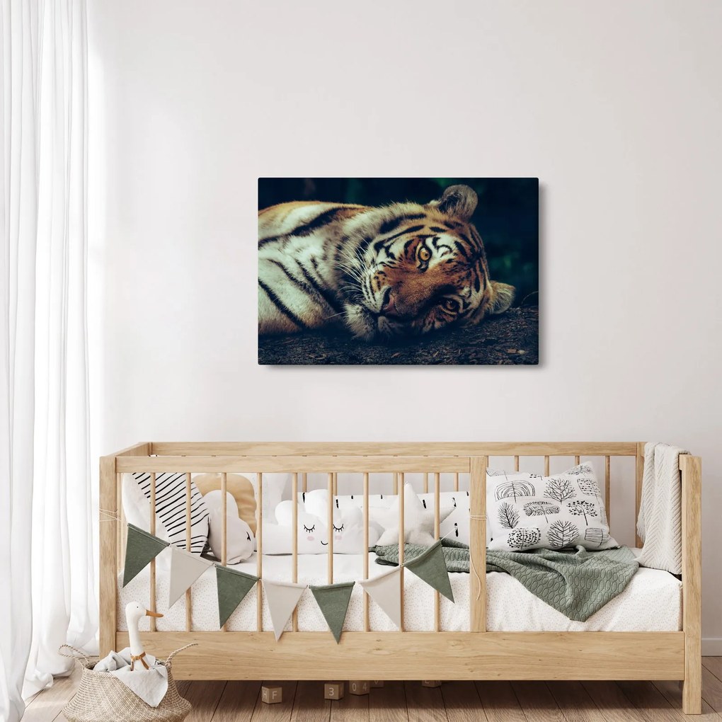 Tablou - Tigrul Siberian (90x60 cm)