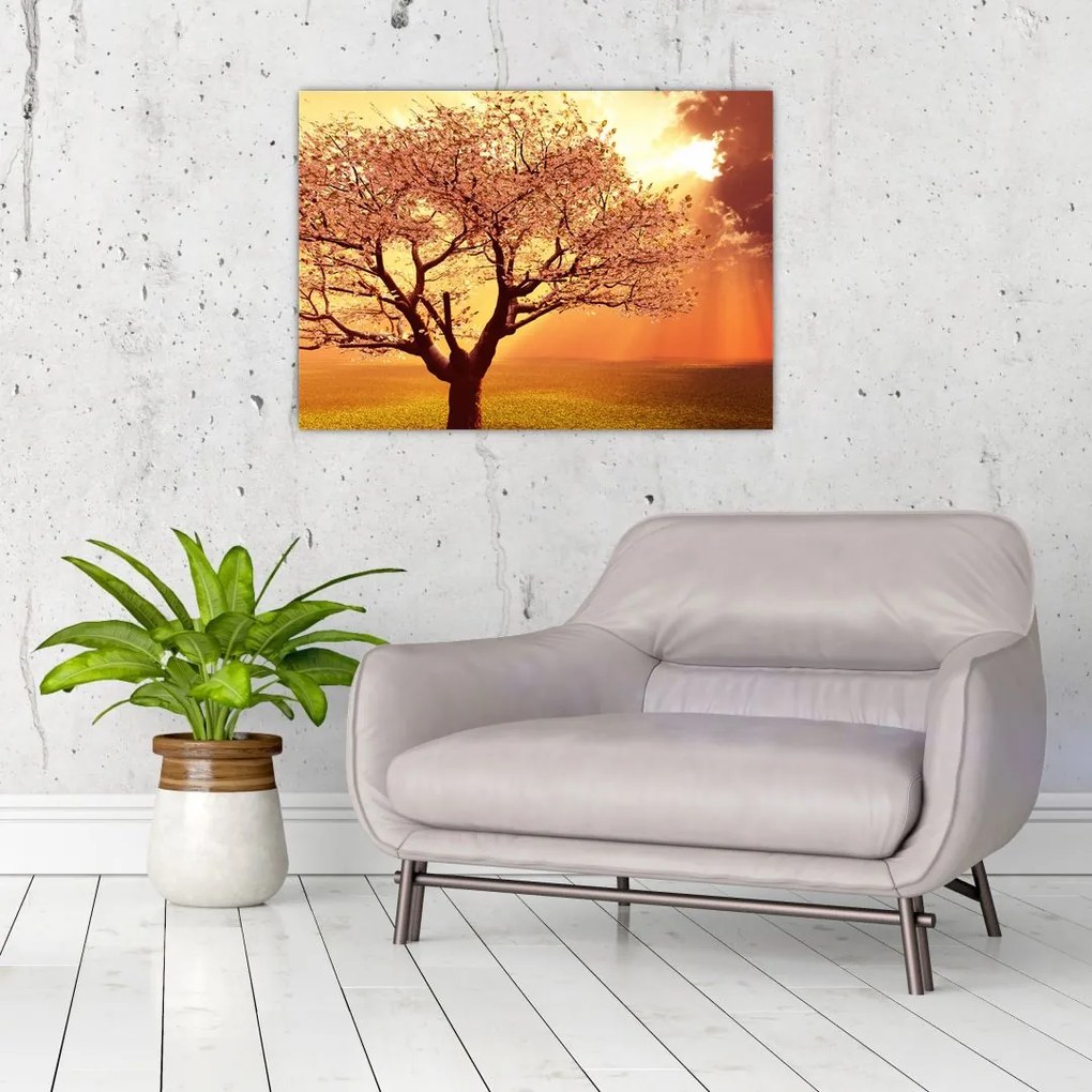 Tablou pe sticlă cu razele lui Dumnezeu (70x50 cm)