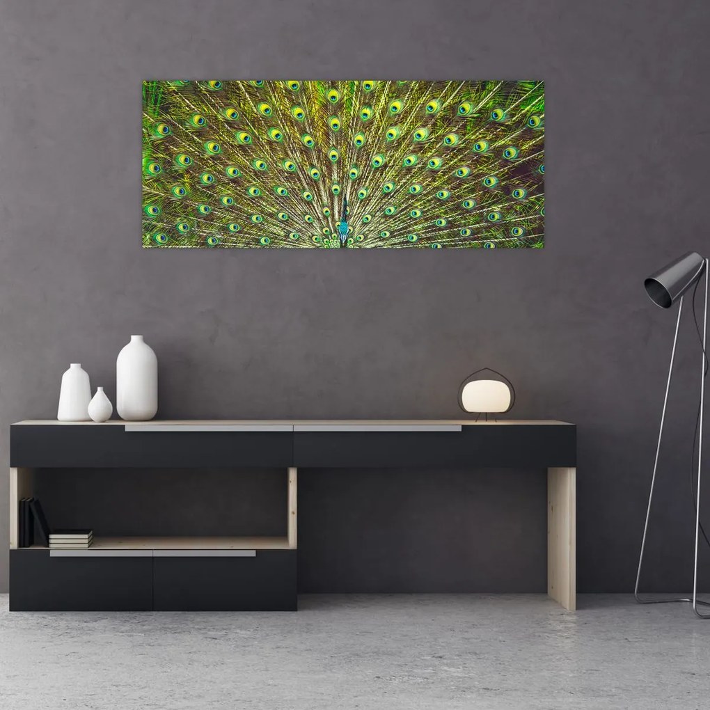 Tablou - Peacock (120x50 cm)