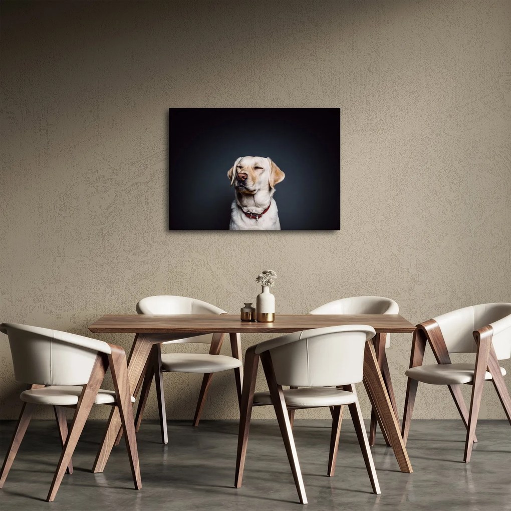 Tablou cu labrador (70x50 cm)