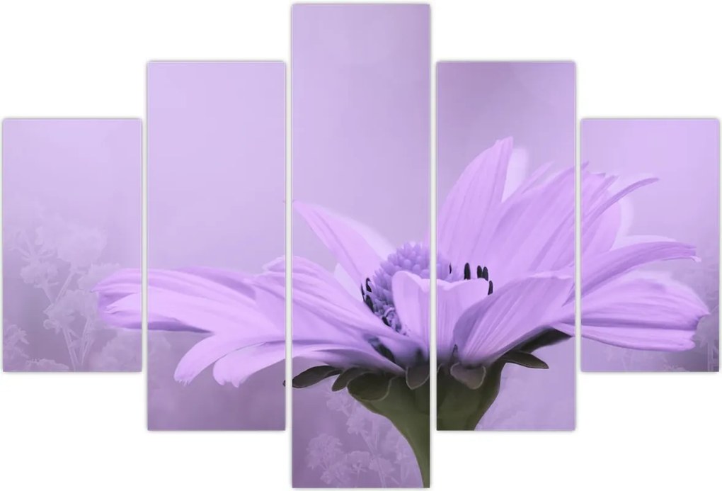 Tablou - Flori mov (150x105 cm)