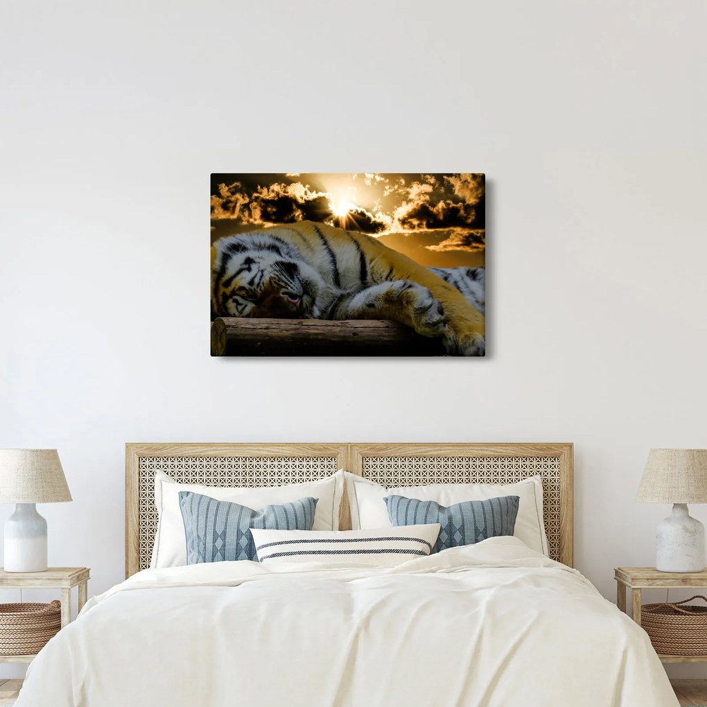 Tablou tigrul dormind (90x60 cm)
