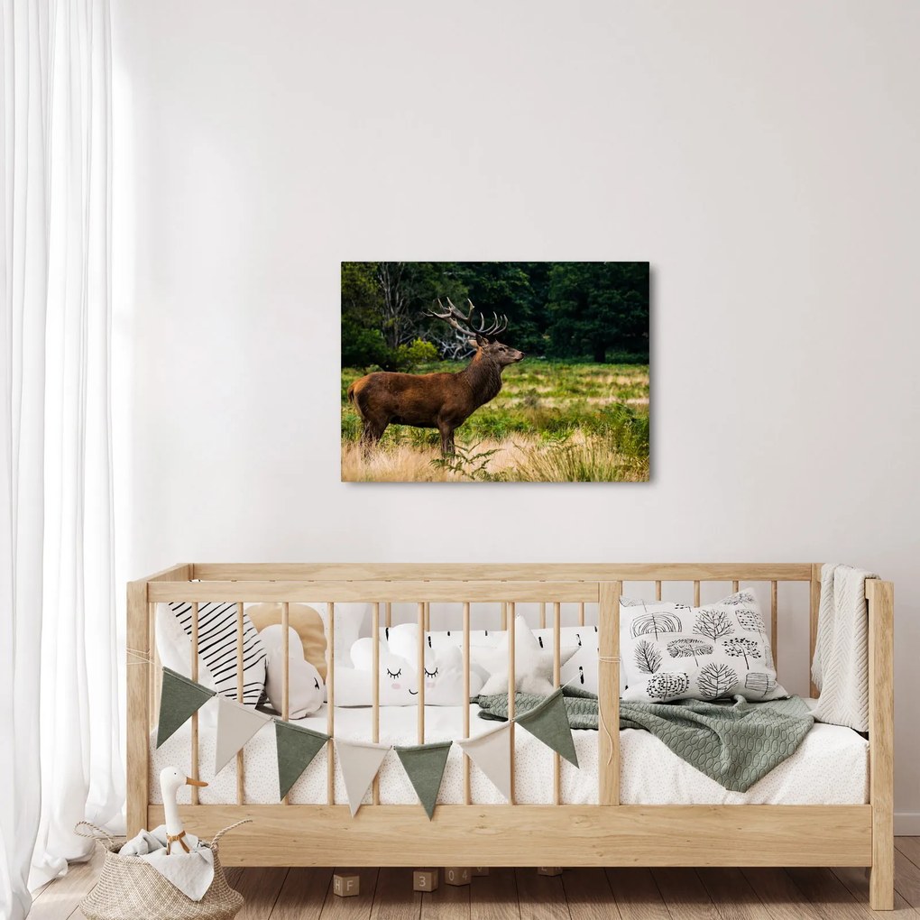 Tablou cu cerb (70x50 cm)