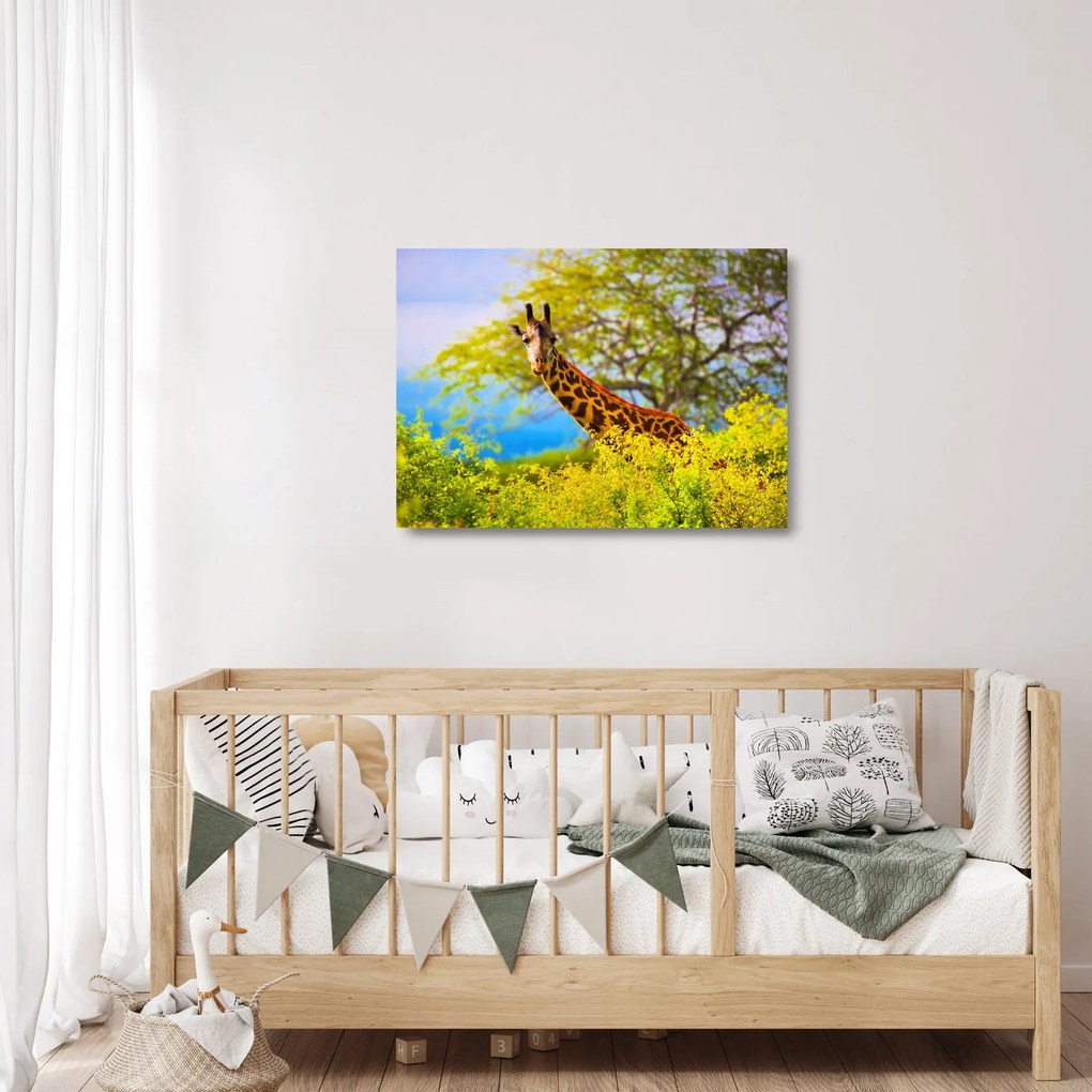 Tablou pe sticlă - Girafa în Africa (70x50 cm)