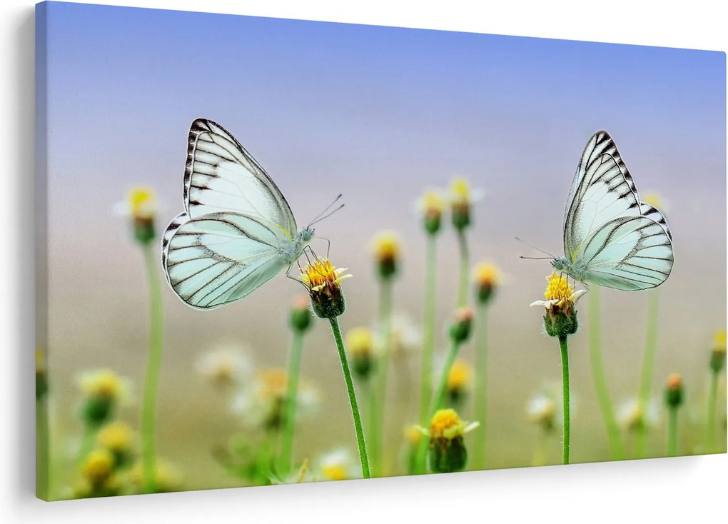 Tablou cu fluture pe floare (90x60 cm)