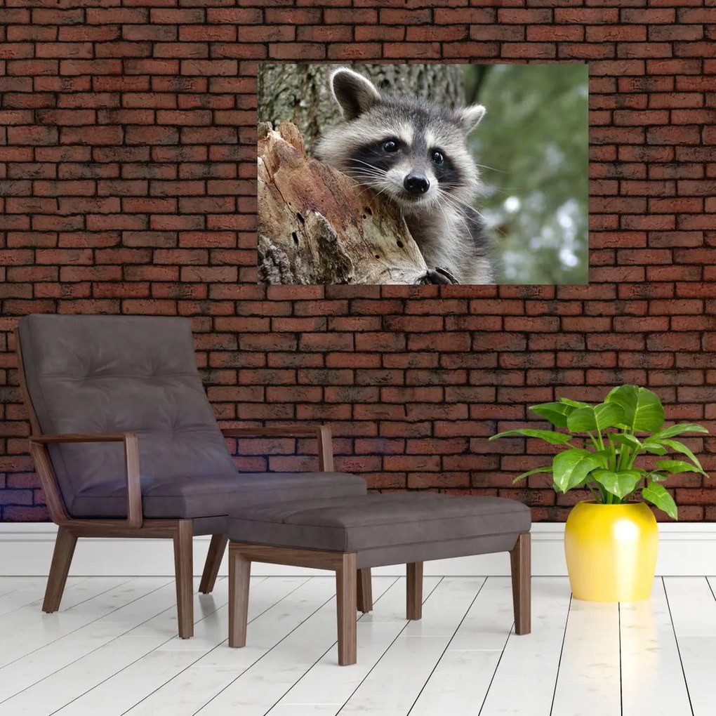 Tablou - Raton (90x60 cm)