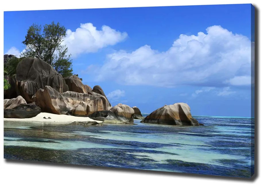 Tablou pe pânză canvas Seychelles panorama