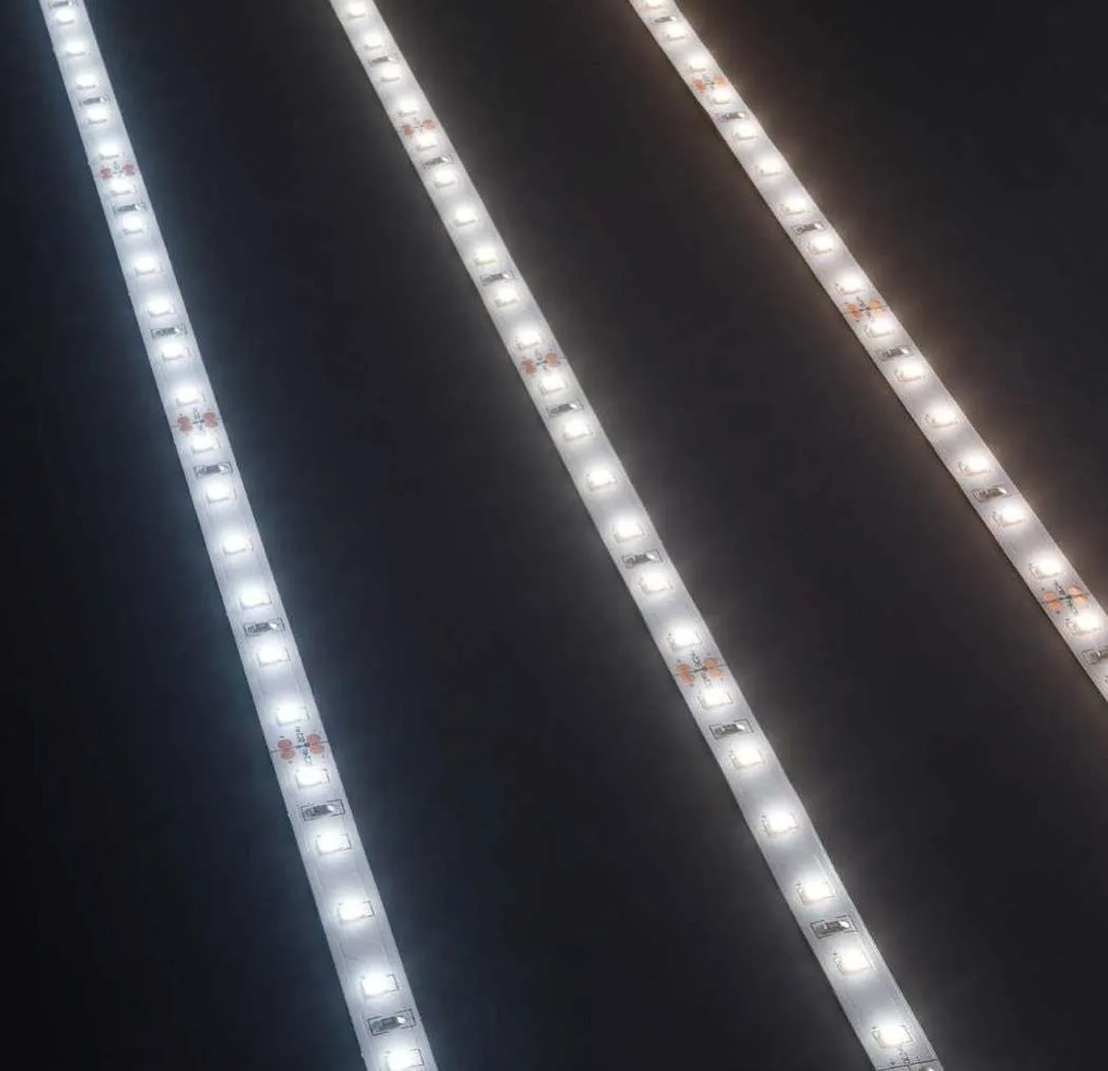 Banda 5 metri STRIP LED 19W 3000K CRI90 240 LED/m IP20