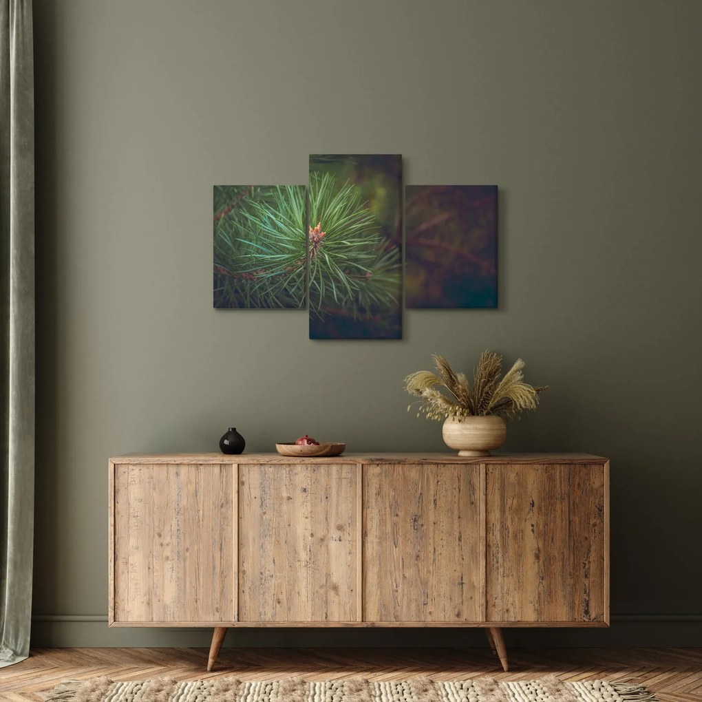 Tablou - Pin (90x60 cm)