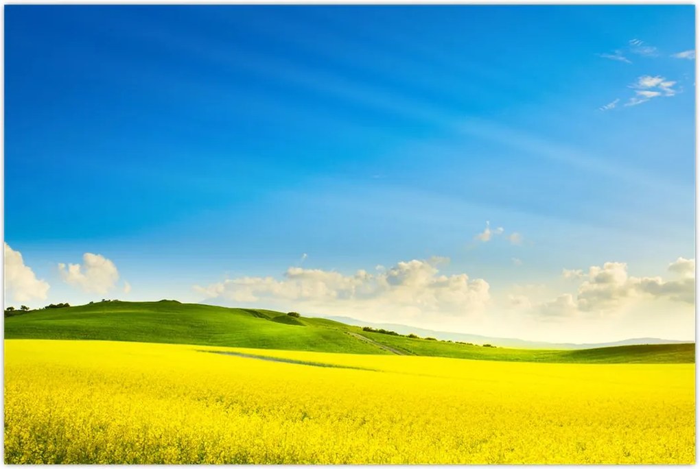 Tablou - Cerul de primăvară (90x60 cm)