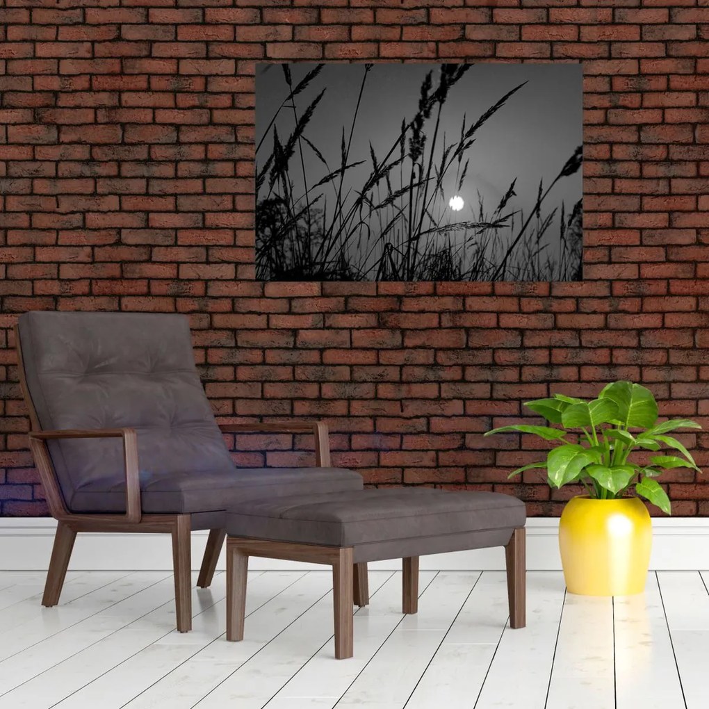 Tablou - Pajiște cu apus de soare (90x60 cm)