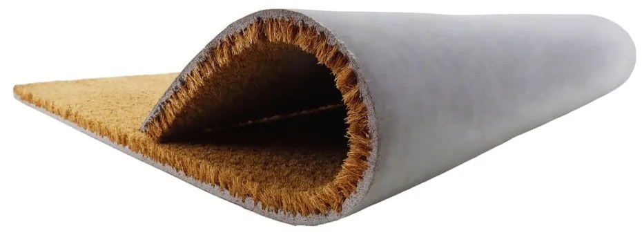 Covoraș de intrare din fibre de nucă de cocos 60x90 cm Life Is Better With a Cat – Artsy Doormats