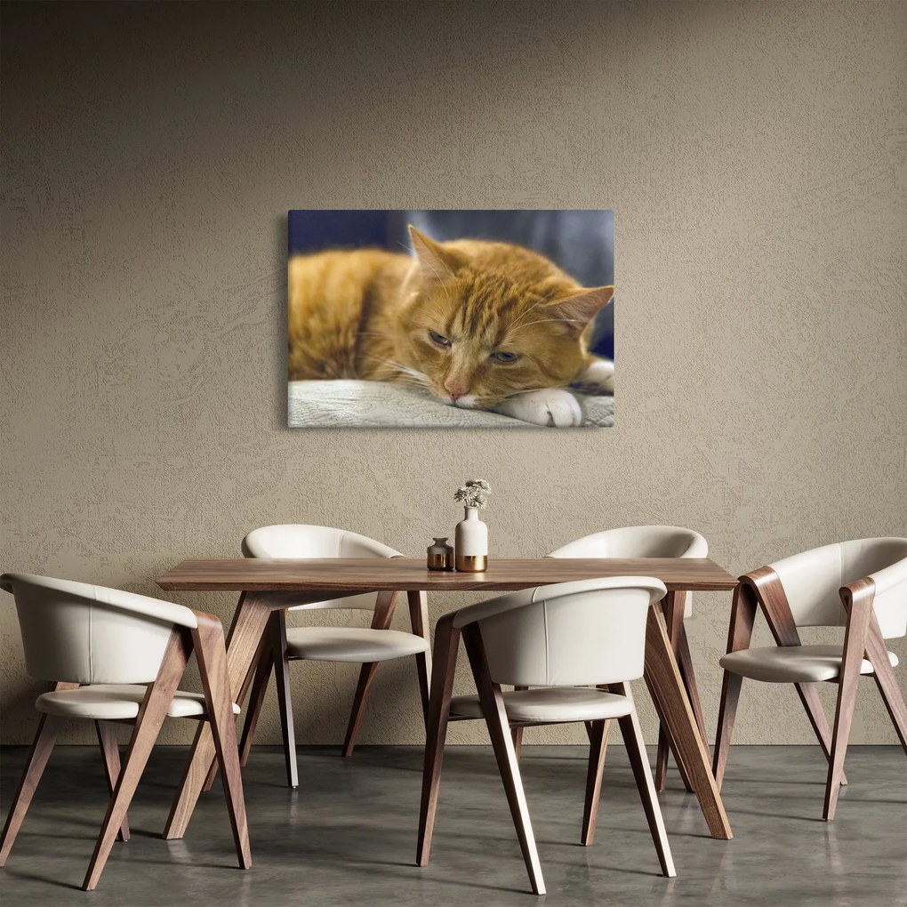Tablou cu pisica (90x60 cm)