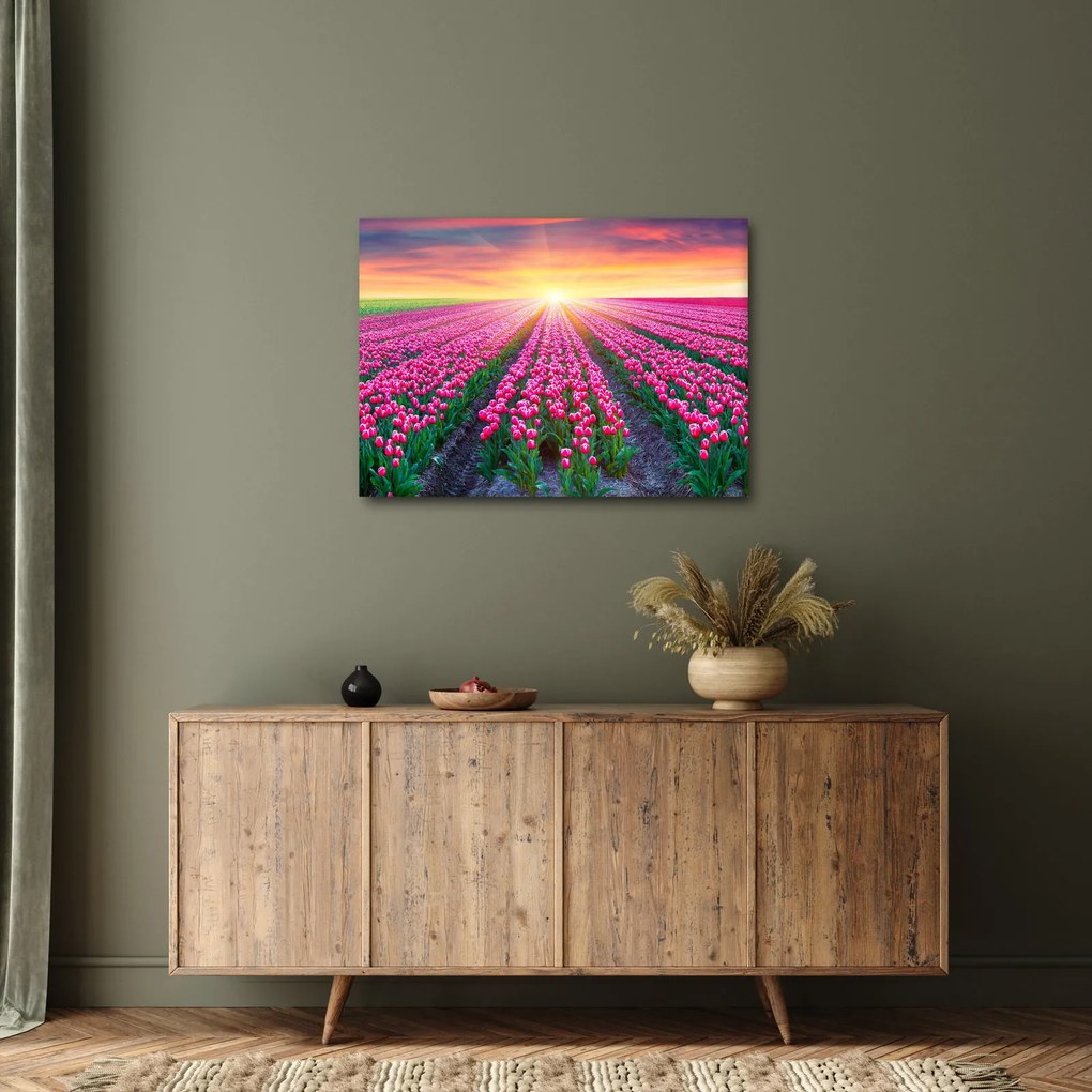 Tablou cu câmp de lalele cu soare (70x50 cm)