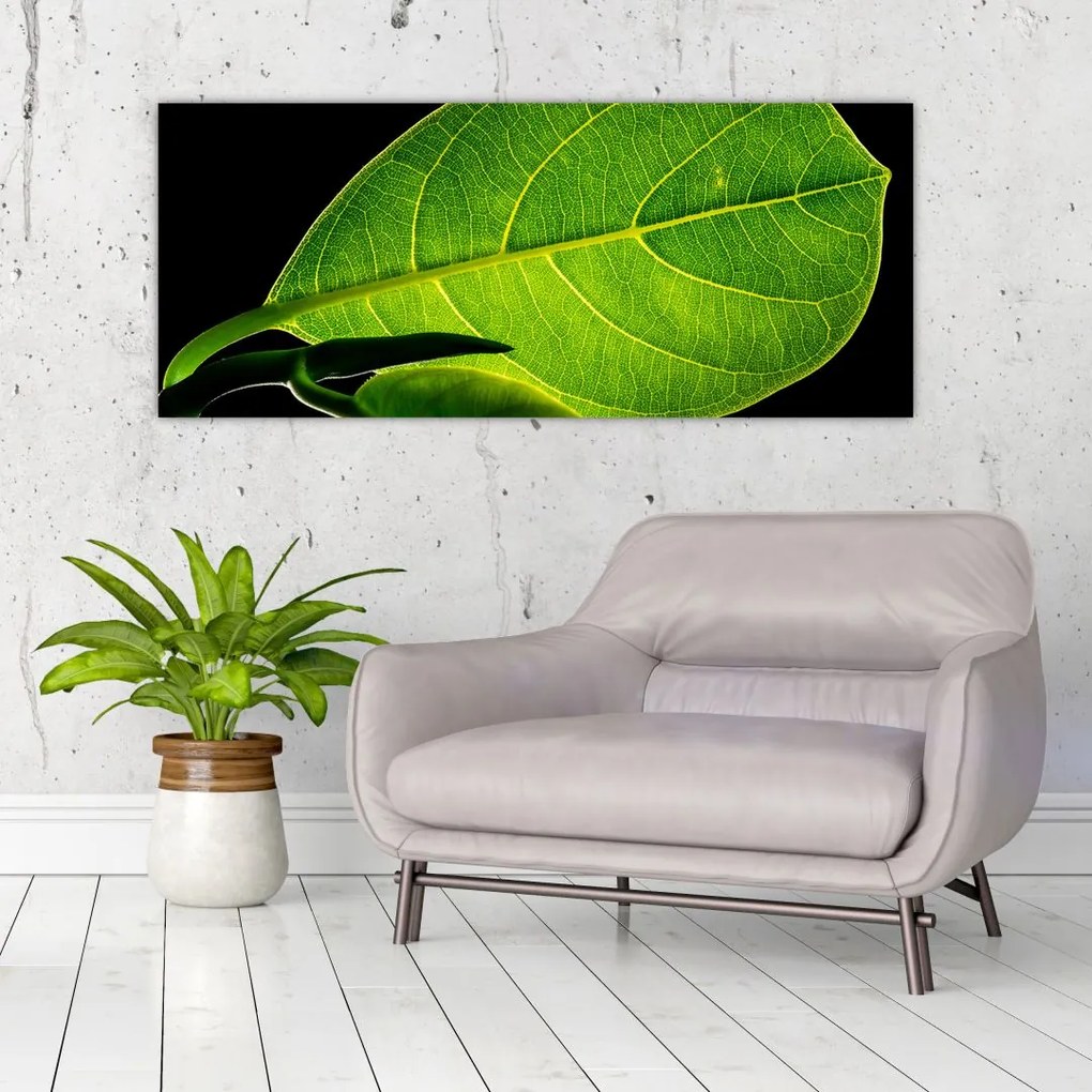 Tablou - frunză verde (120x50 cm)
