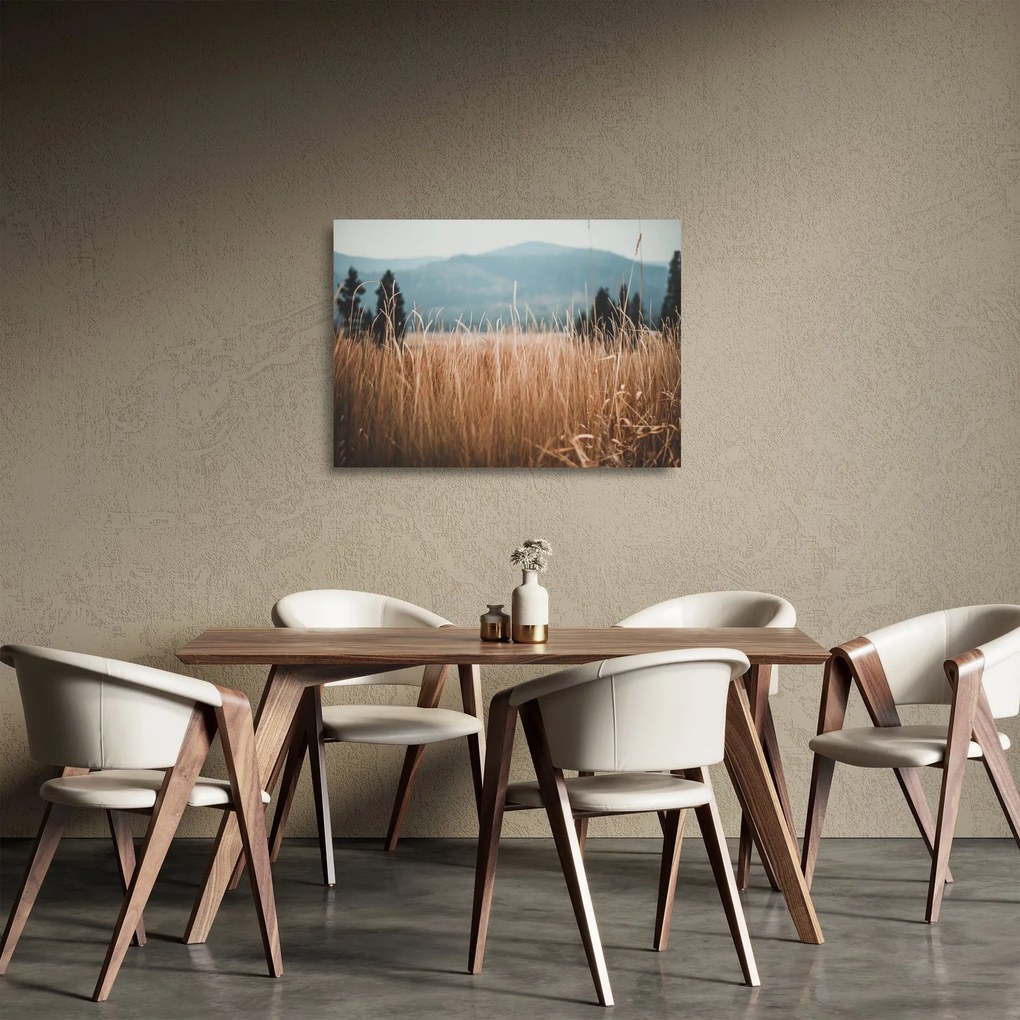 Tablou pe sticlă - detaliu spațiului de luncă (70x50 cm)