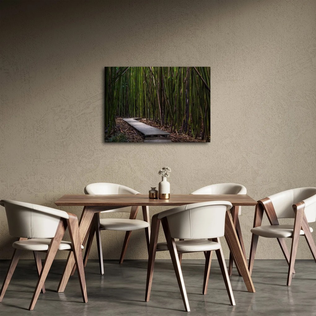 Tablou - Între bambus (70x50 cm)