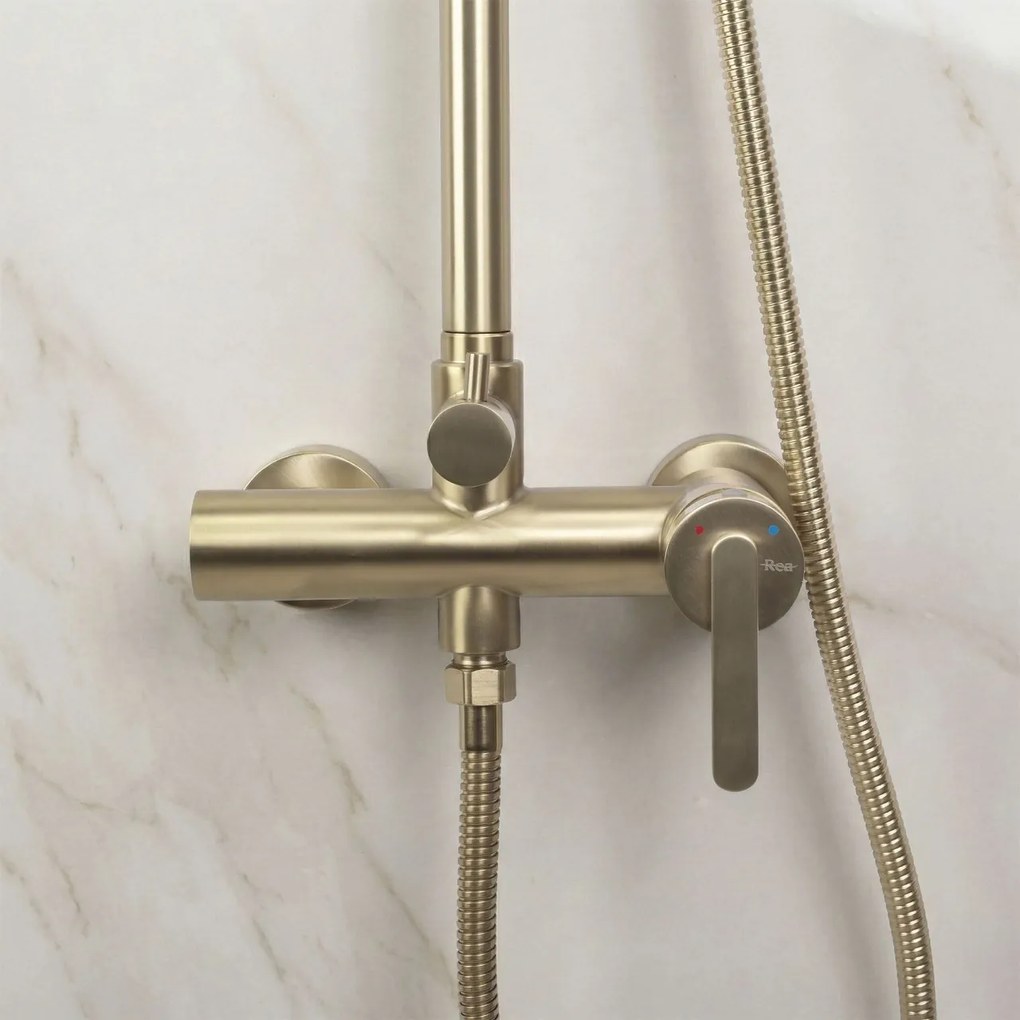 Set dus Rea Ontario Brush Gold