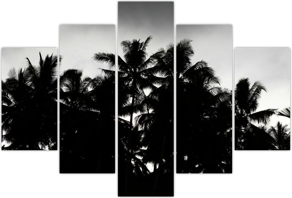 Tablou alb negru - palmieri (150x105 cm)