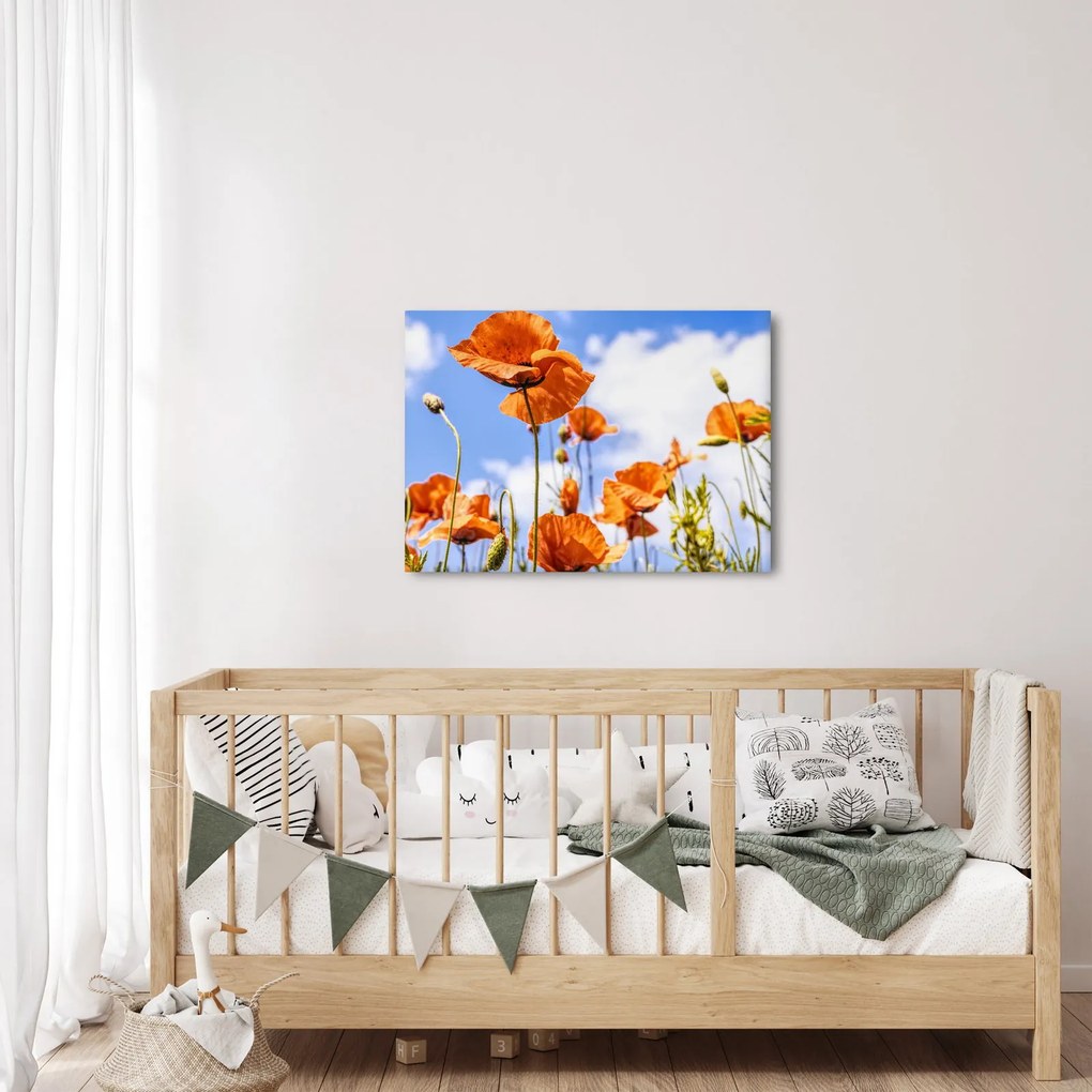 Tablou cu macii (70x50 cm)