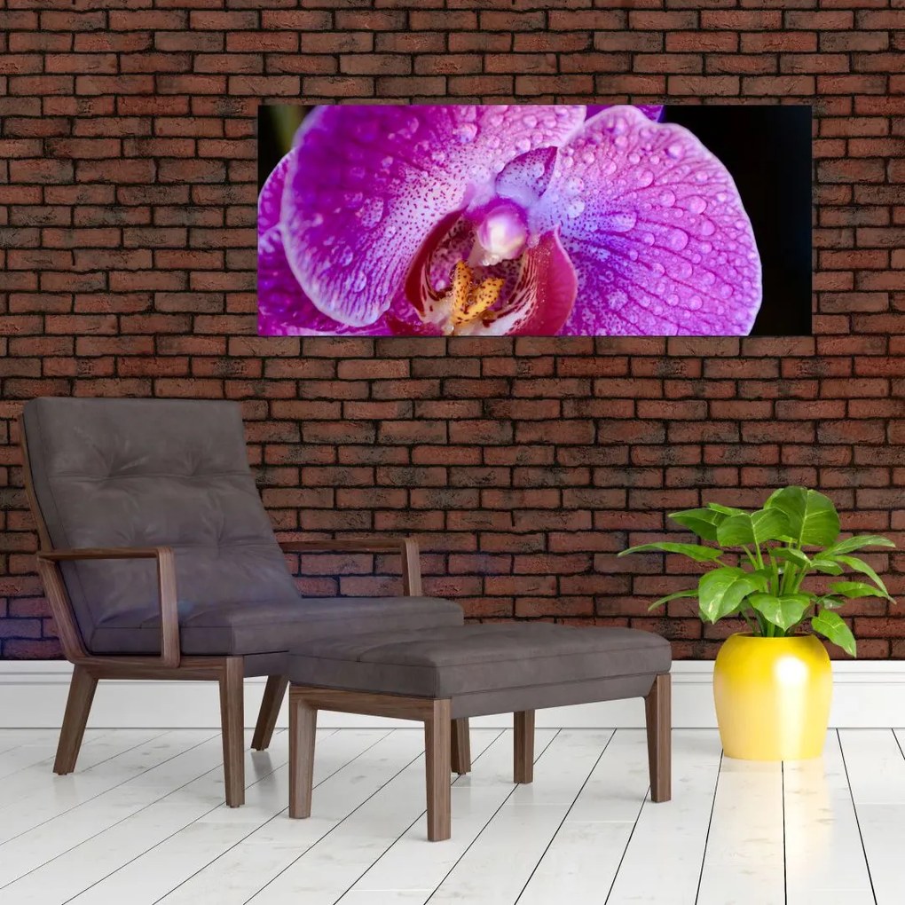 Tablou detailat cu floare de orhidee (120x50 cm)