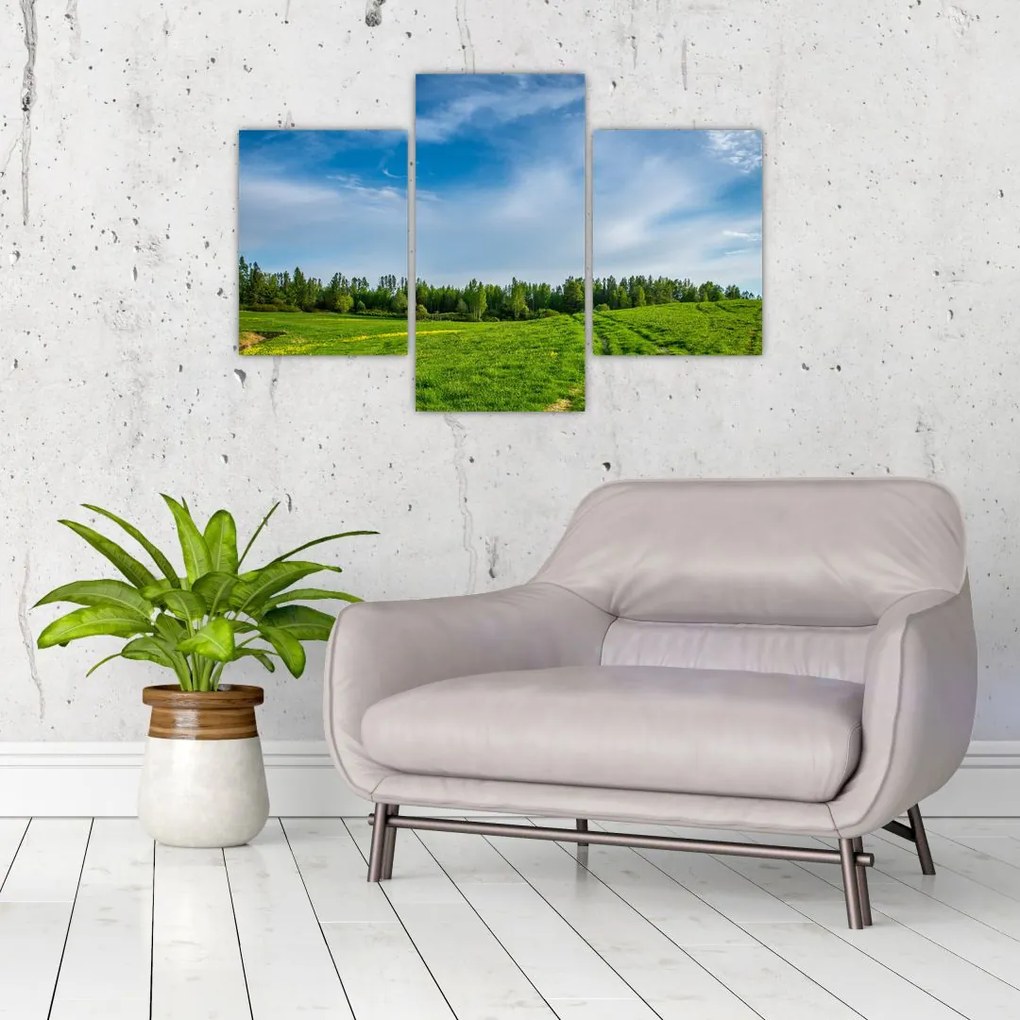 Tablou cu luncă (90x60 cm)