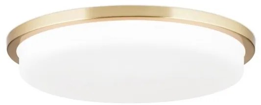 Plafoniera LED moderna LEROX 40cm alama mat