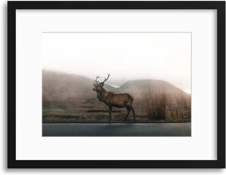 Imagine în cadru - Majestic in the Highland Mist 40x30 cm