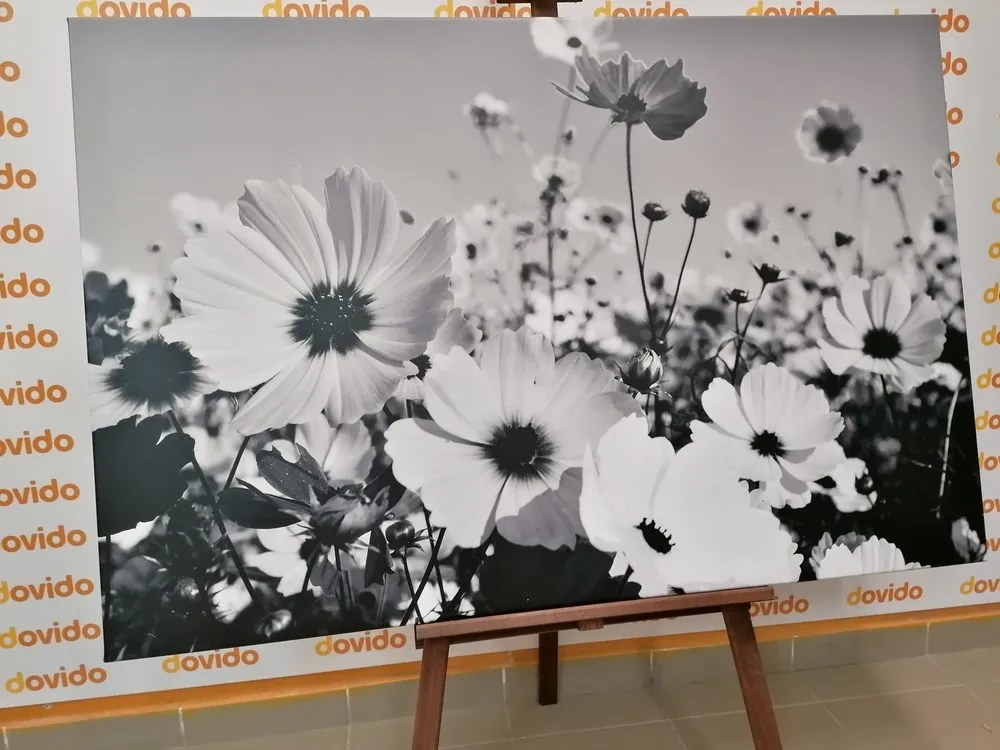 Tablou flori de vară în design alb-negru