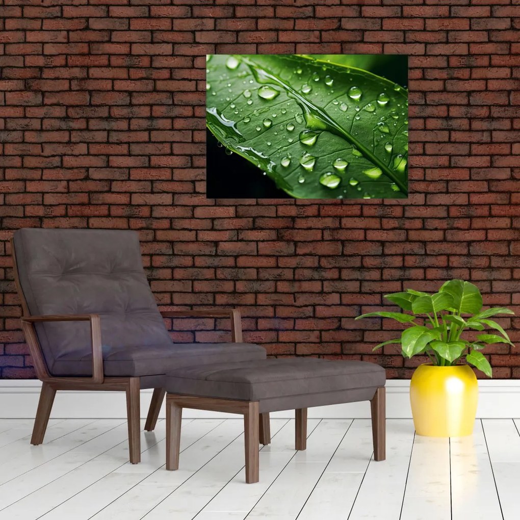 Tablou - Frunză după ploaie (70x50 cm)