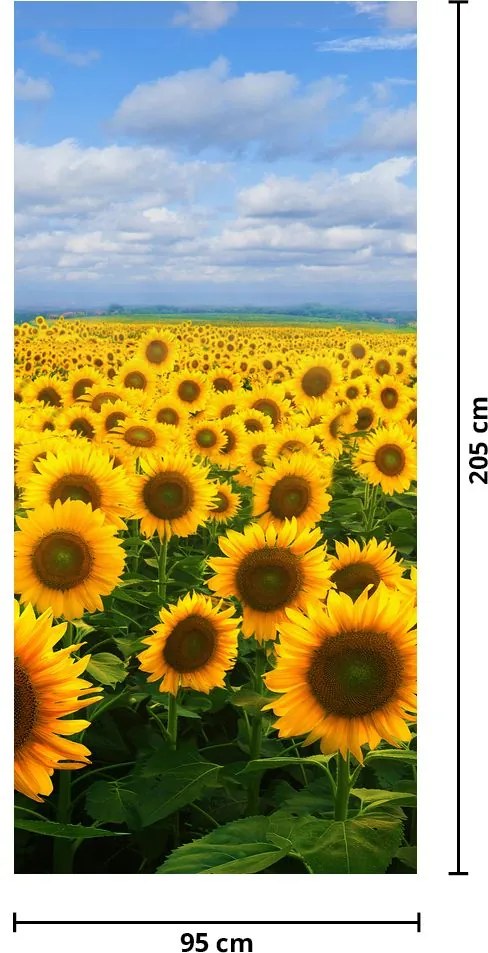 Fototapet pentru ușă - Câmp cu floare soarelui (95x205cm)