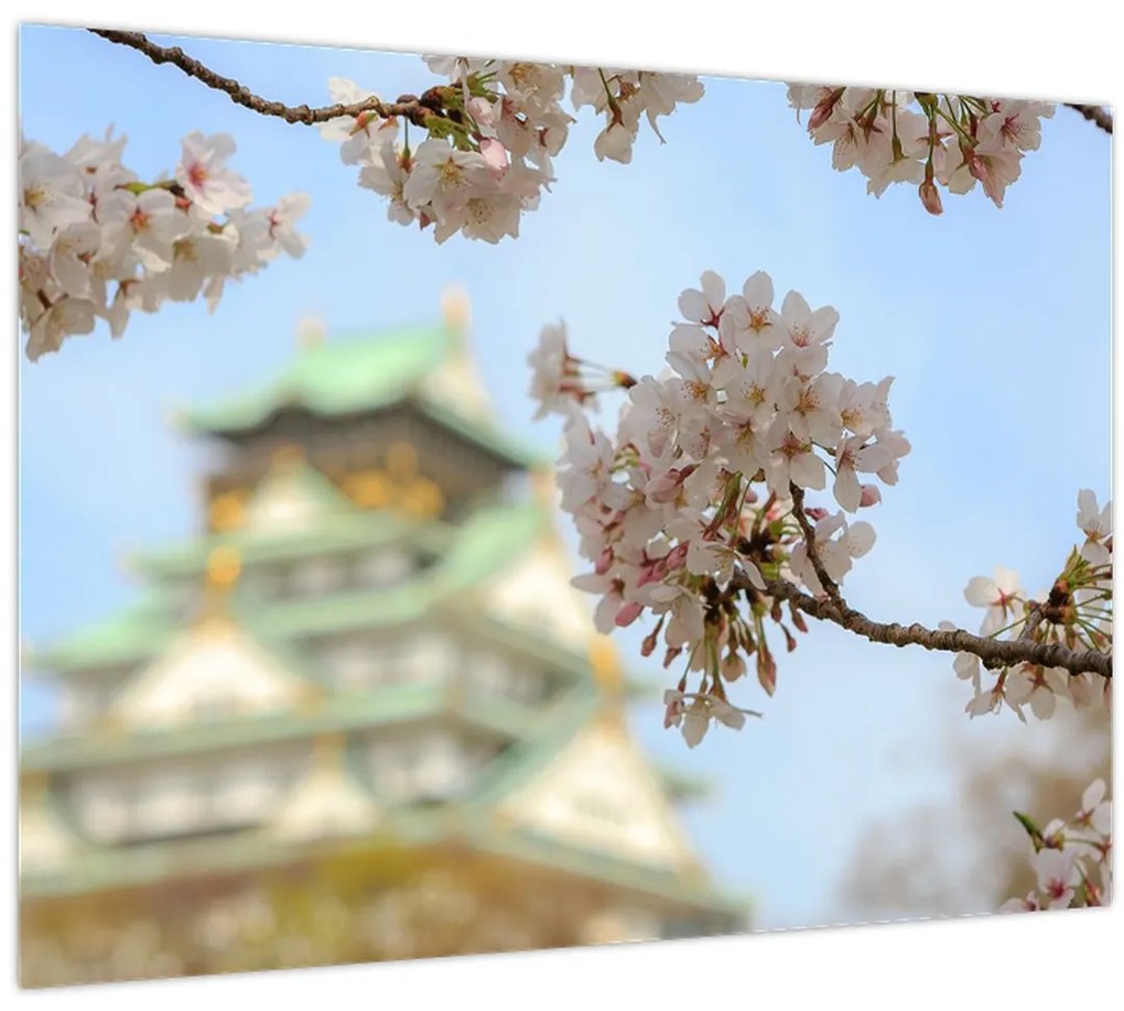 Tablou - Sakura (70x50 cm)