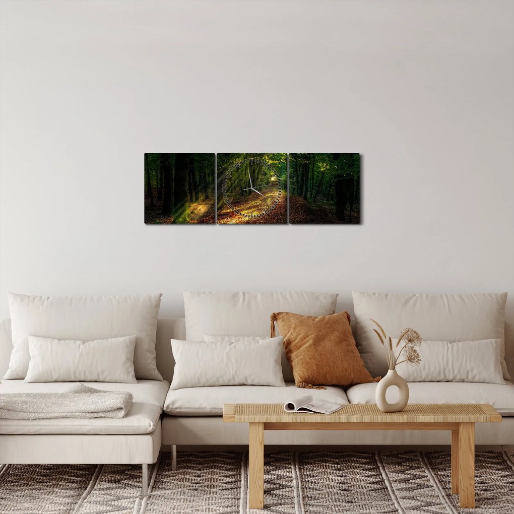 Tablou cu poteca prin pădure (cu ceas) (90x30 cm)