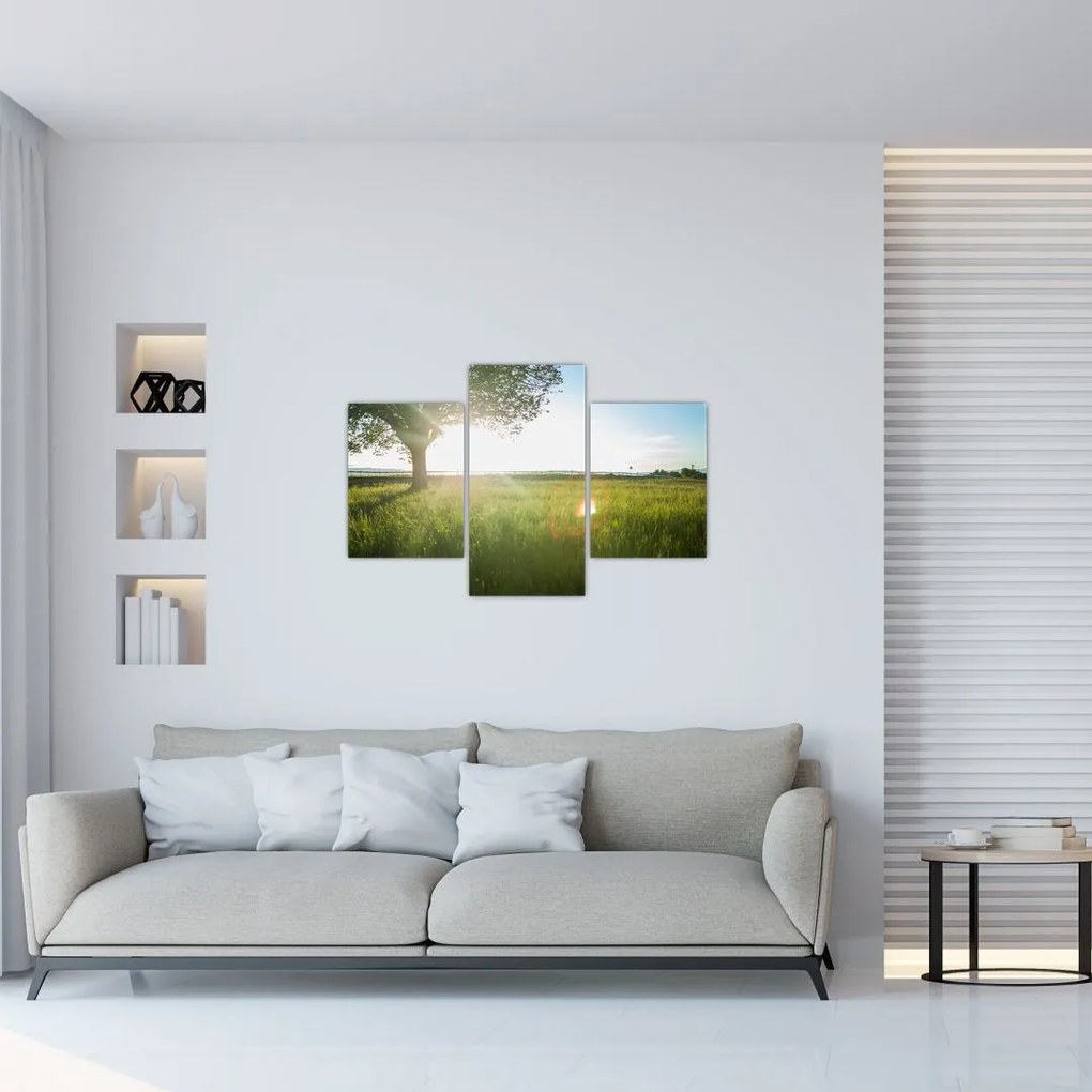 Tablou cu lunca în vară (90x60 cm)