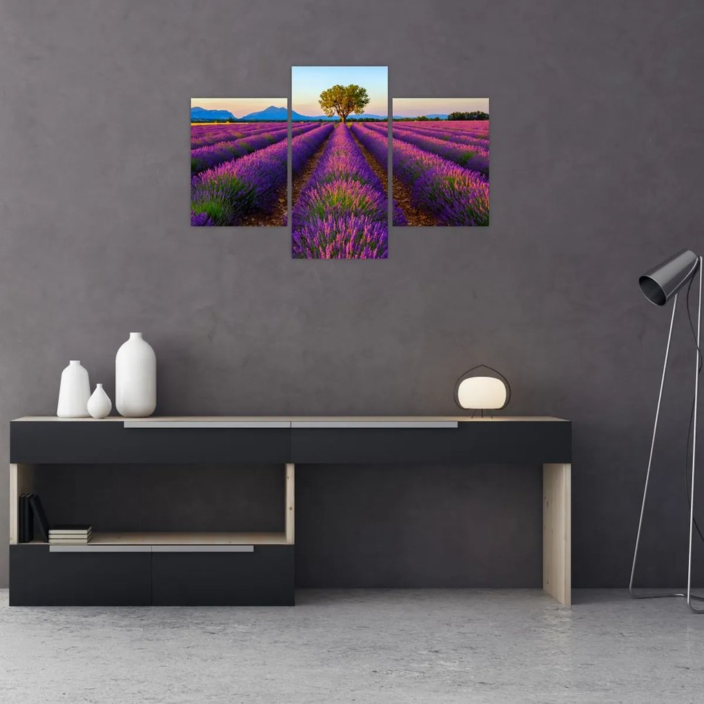 Tablou - Câmp de lavandă (90x60 cm)