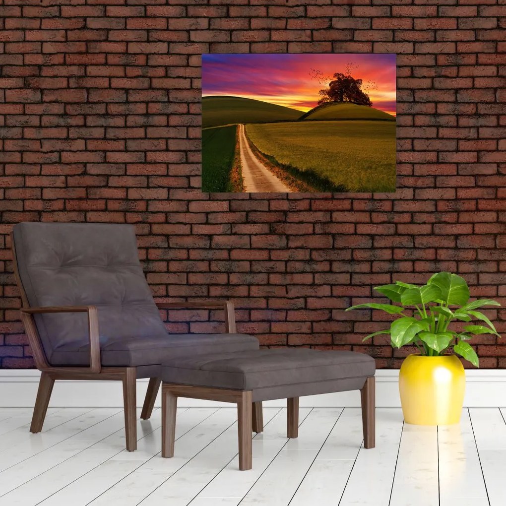 Tablou câmpului cu apus de soare (70x50 cm)