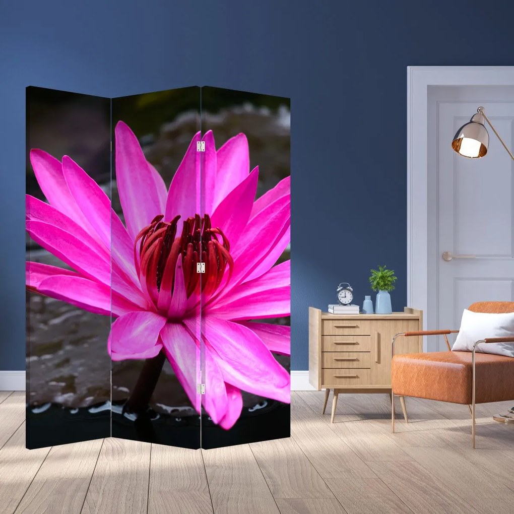Paravan - Floarea roz (126x170 cm)