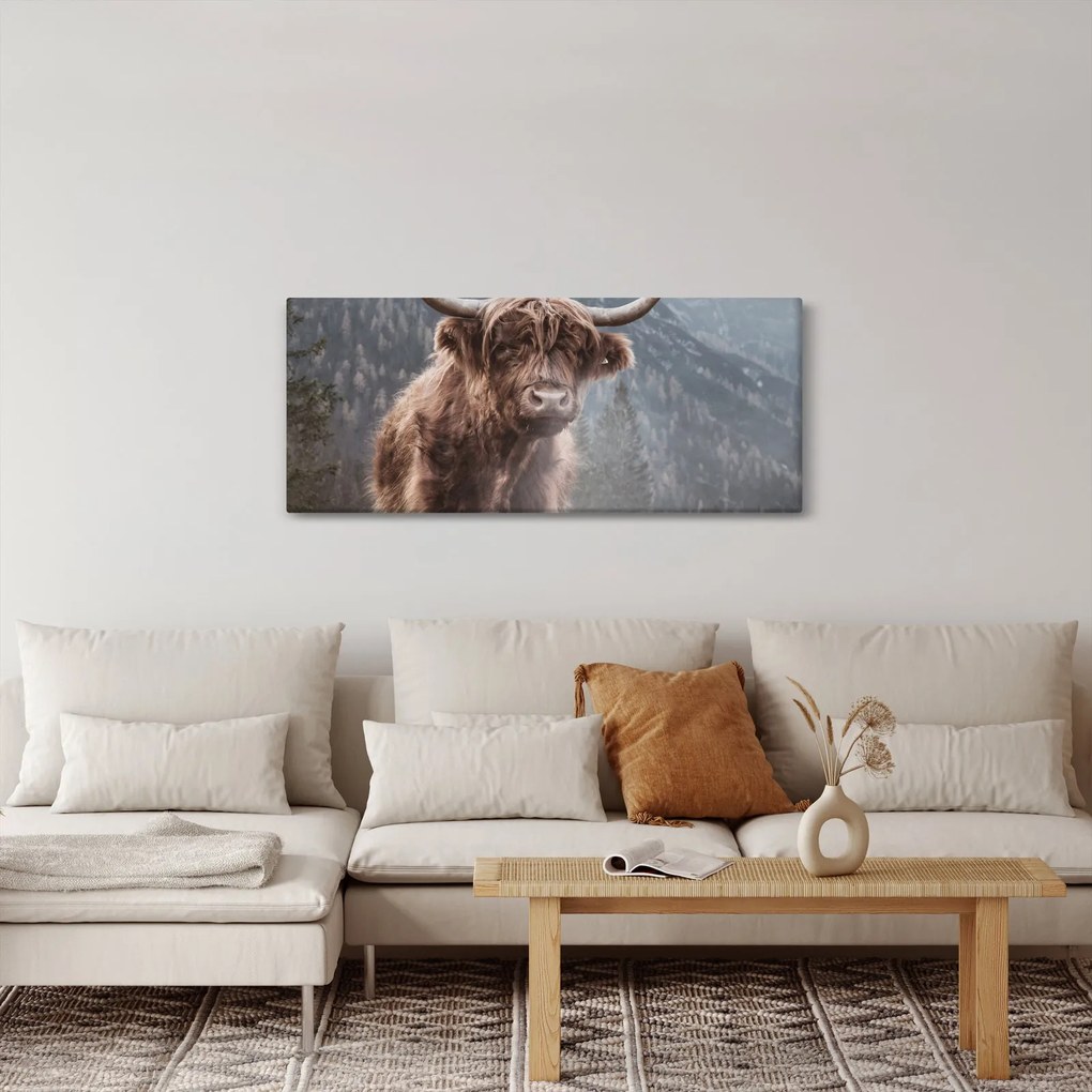 Tablou - Vaca Highlander (120x50 cm)