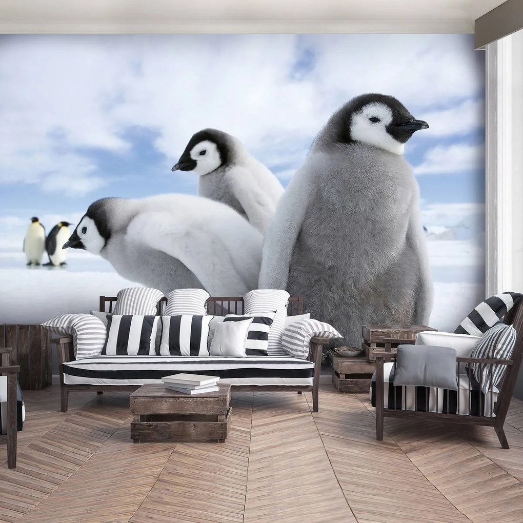 Fototapet - Pinguini (152,5x104 cm)