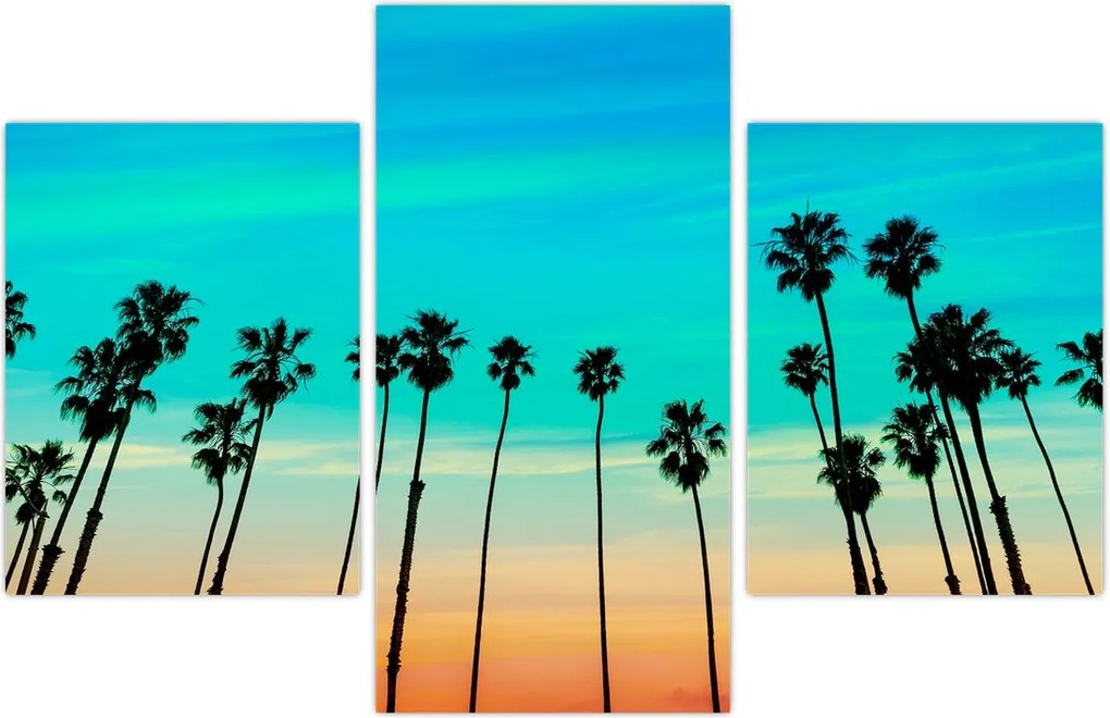 Tablou - California (90x60 cm)