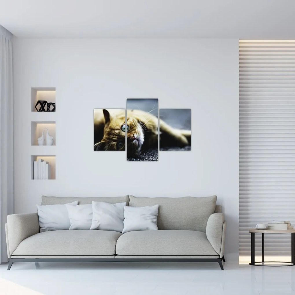 Tablou cu pisica (90x60 cm)